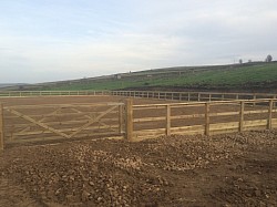 Good quality fencing materials used